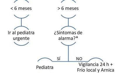 Mi hijo se ha dado un golpe en la cabeza ¿Qué hago? Diagrama de decisión para padres