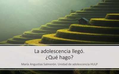 Adolescencia ¿Y ahora qué? El taller que te permitirá sobrevivir a la adolescencia de tu hijo.